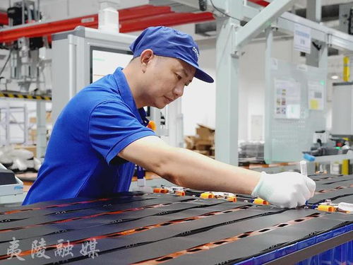 批量交付“夷陵造” 船员培训应用广——宜昌船舶产业转型升级观察