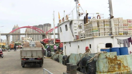 一船三千多箱，舟山国际水产城喜迎大网头船舶服务